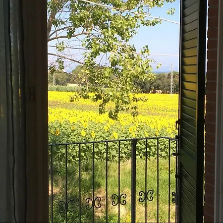 Casa Vacanze Immersa Tra Le Colline, Vicinissima Al Mare E Con Nuova Piscina Senigallia Exterior foto