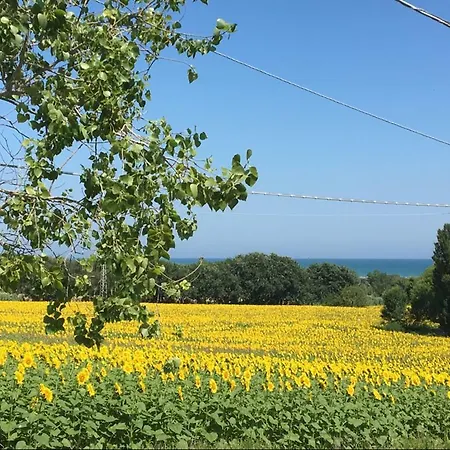 Casa Vacanze Immersa Tra Le Colline, Vicinissima Al Mare E Con Nuova Piscina Senigallia Exterior foto