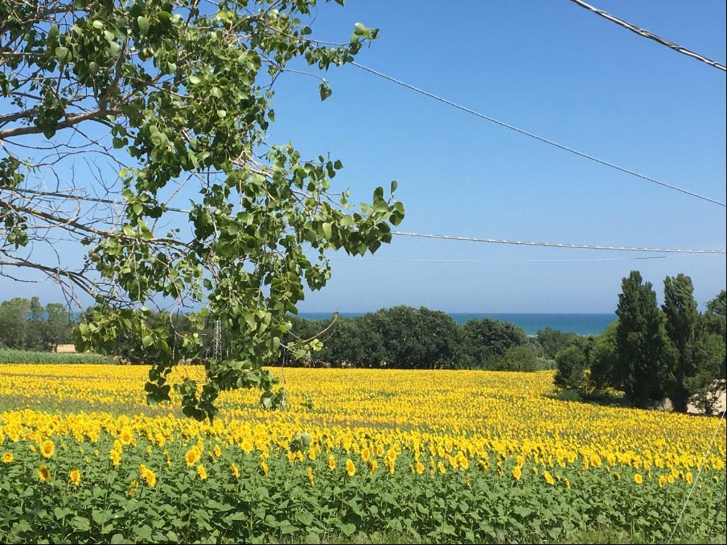 Immersa Tra Le Colline, Vicinissima Al Mare E Con Nuova Piscina